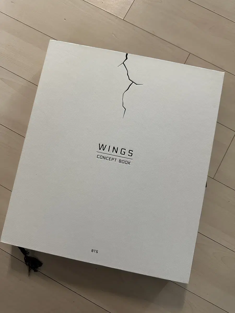 BTS wings 컨셉북